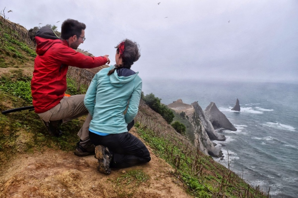 North Island Honeymoon & Romance Itinerary: 2 Weeks / 14 Days