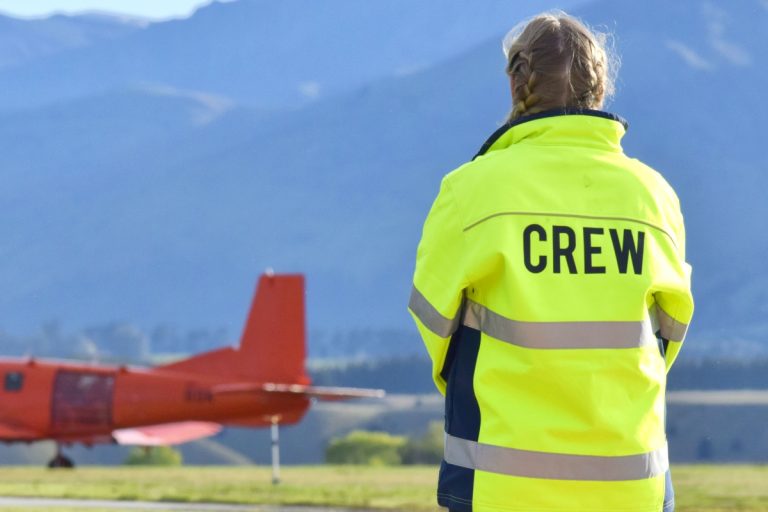 10 Best Working Holiday Visa Jobs in New Zealand