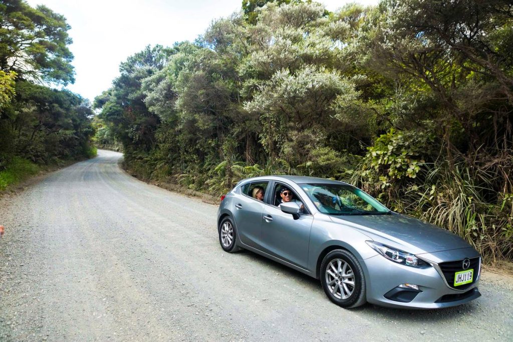 New Zealand Food Itinerary: 1 Month / 4 Weeks / 30 Days ????