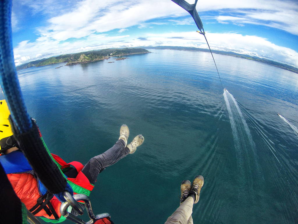 15 Activities You Can Do With a Disability in New Zealand 👨‍🦽 [2026]