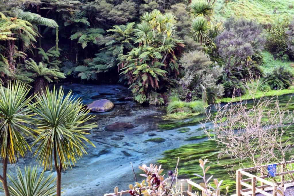 25 Best Things to Do in Rotorua ♨️ [2025]