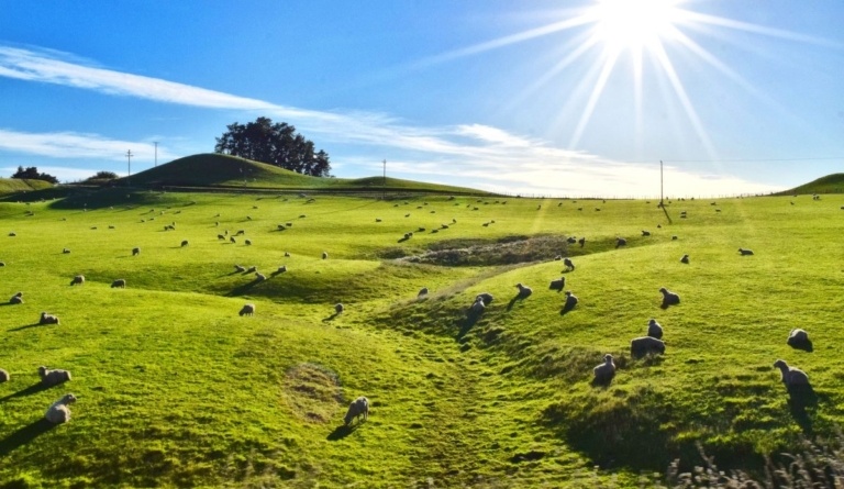 50 Best Things to Do on the North Island 🔥 [2025]