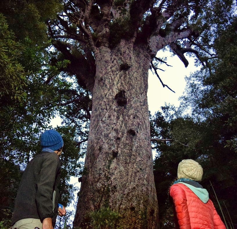 New Zealand Budget & Backpacking Itinerary: 1 Month / 4 Weeks / 30 Days