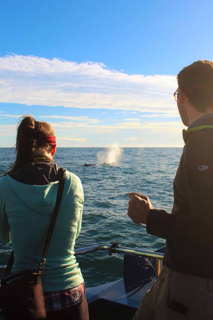 New Zealand Honeymoon & Romance Itinerary: 1 Month / 4 Weeks / 30 Days