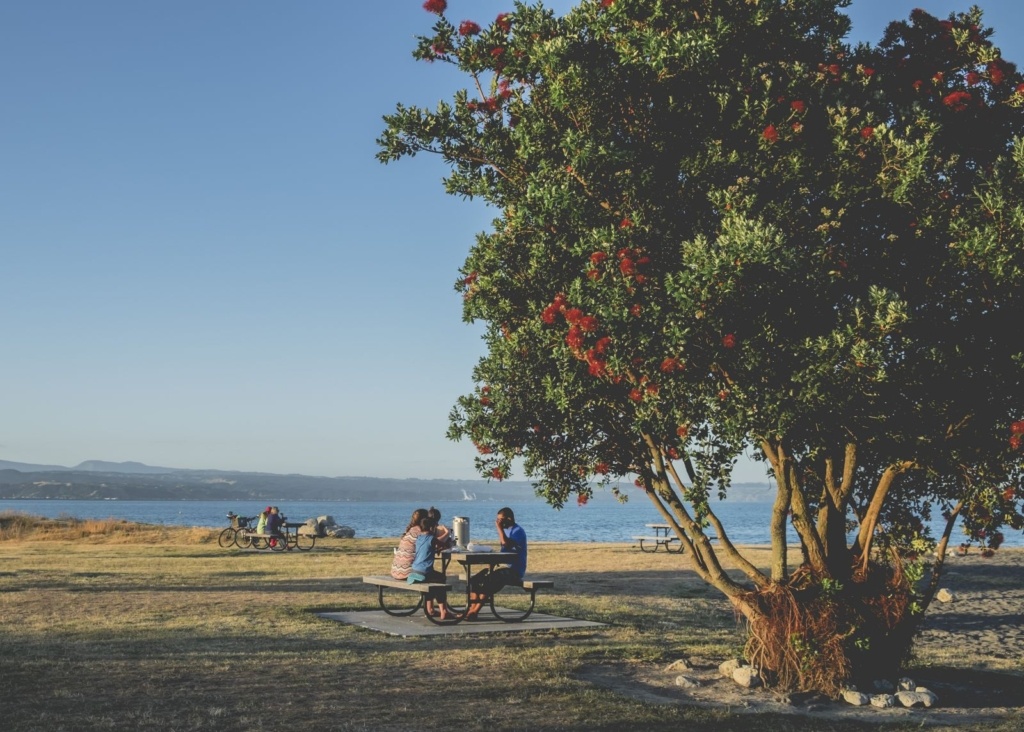 14 Things to Do in Napier & Hawke's Bay with Kids 👪 [2026]