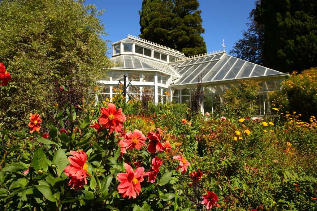 30 Free & Cheap Things to Do in Christchurch [2023]