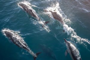 The Luxury Travel Guide to Kaikoura