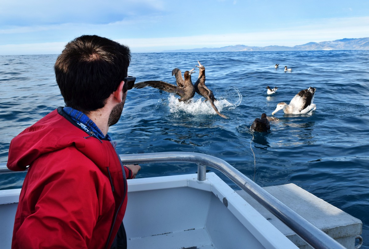 Kaikoura - Guide for Backpackers