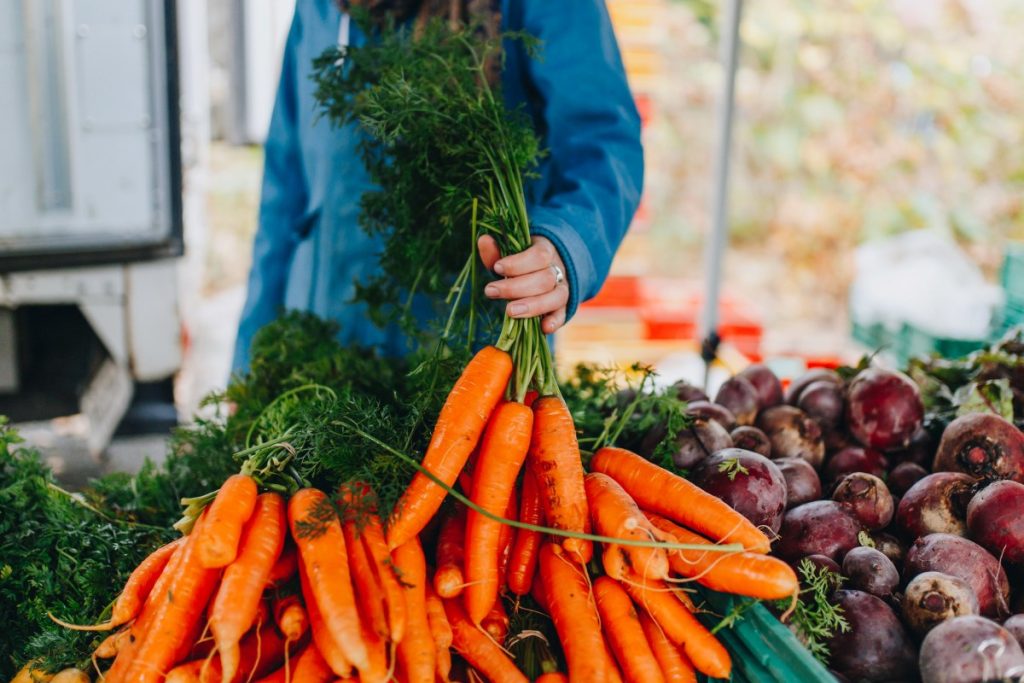 45 BEST Things to Do in Christchurch ???? [2023]