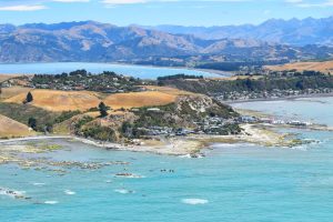 Kaikoura - Guide for Backpackers