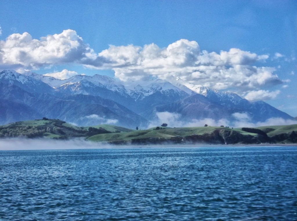 10 Free & Cheap Things to Do in Kaikoura