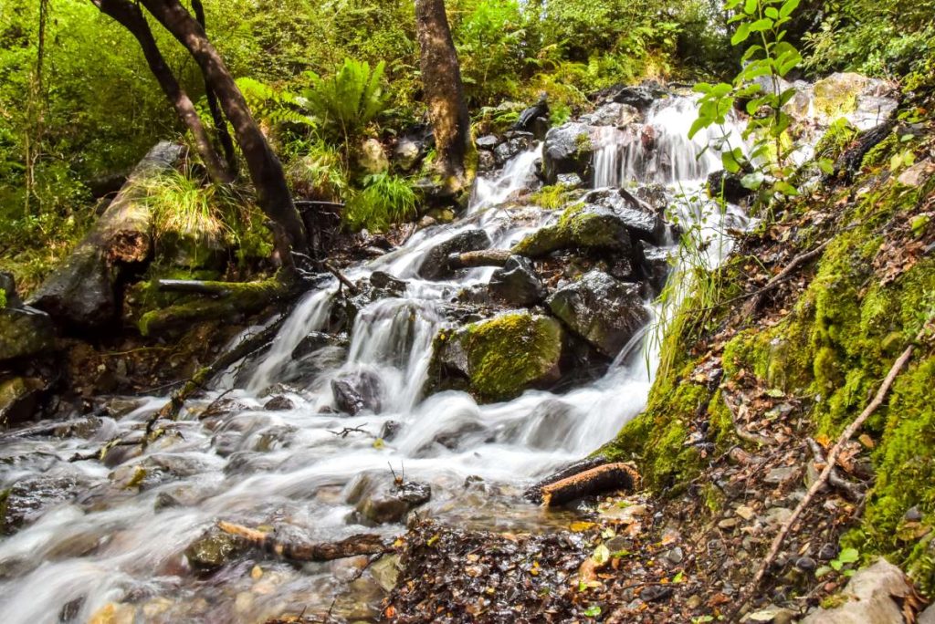 10 Best Walks & Hikes in Kaikoura