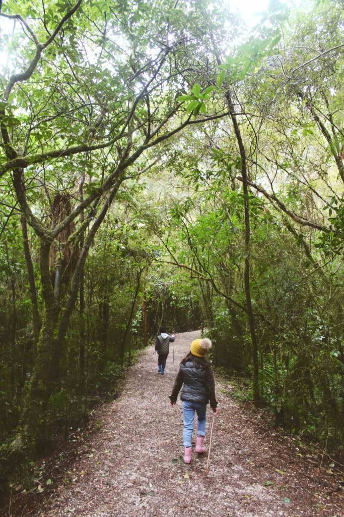 How to Plan the Perfect Family Camping Trip