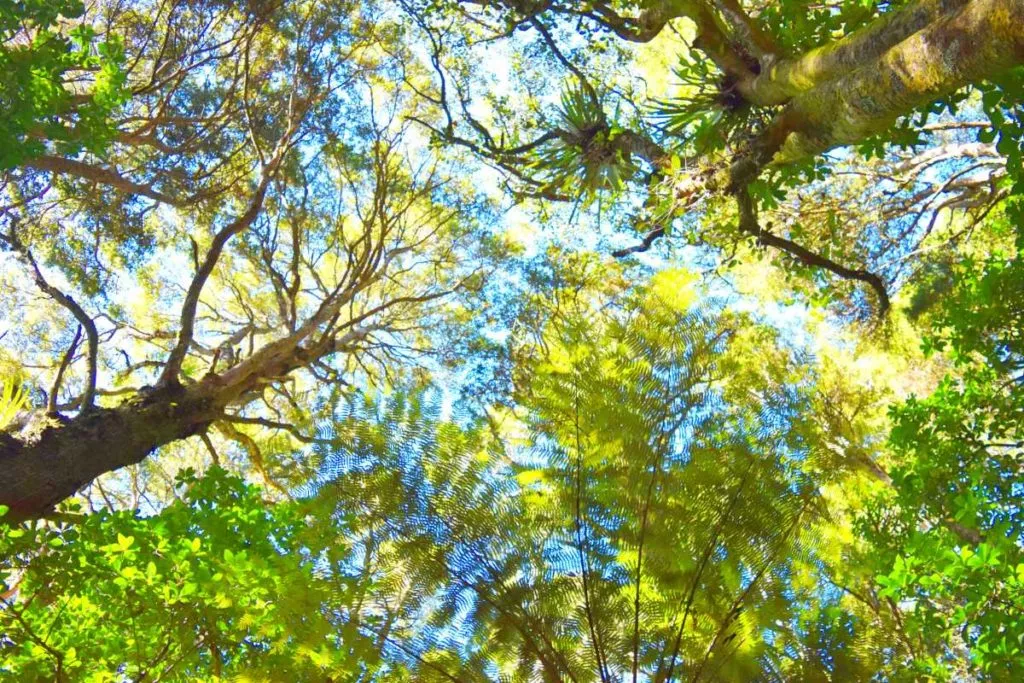 30 Best Things to Do in Hawke's Bay