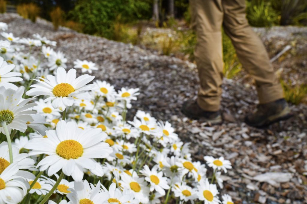 45 BEST Things to Do in Christchurch ???? [2023]