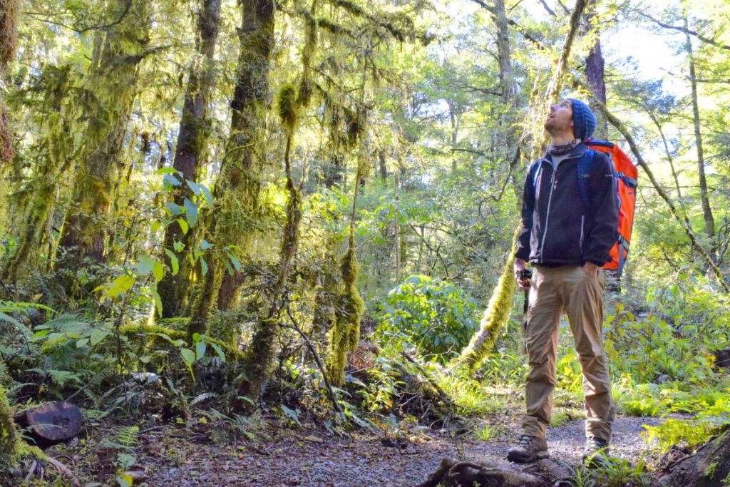 10 Free & Cheap Things to Do in Kaikoura