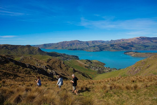 10 Luxury Experiences in Christchurch