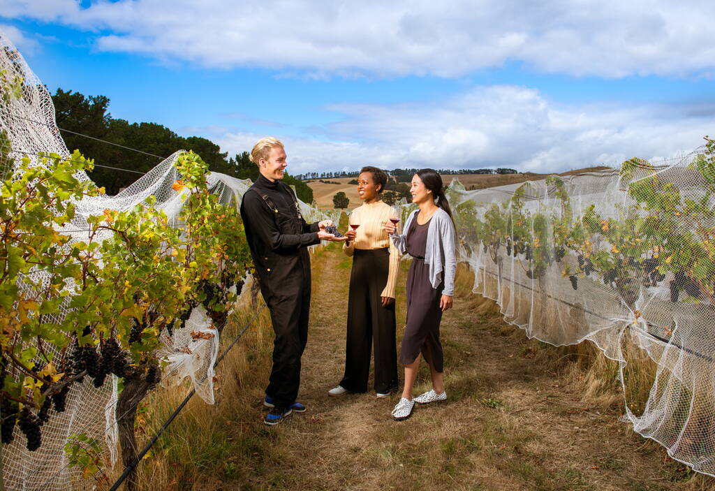 The Food Guide to Christchurch: Places to Eat & Food Tours ????️ [2023]