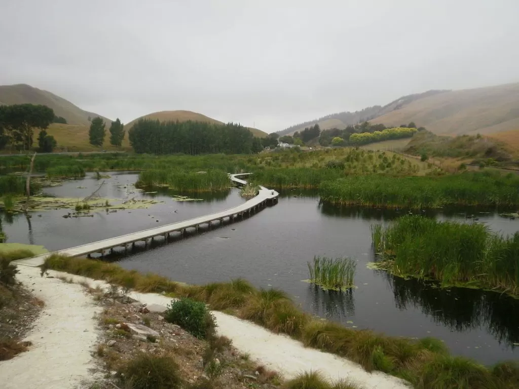 30 Best Things to Do in Hawke's Bay