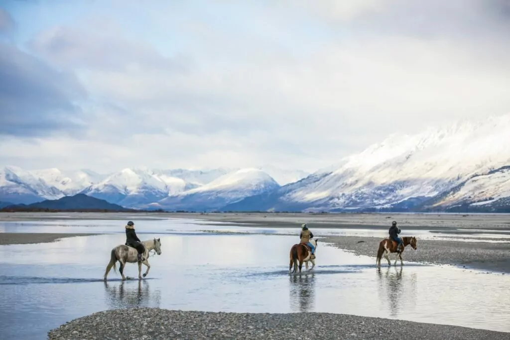 10 Best Horse Riding Tours in New Zealand ???? [2023]
