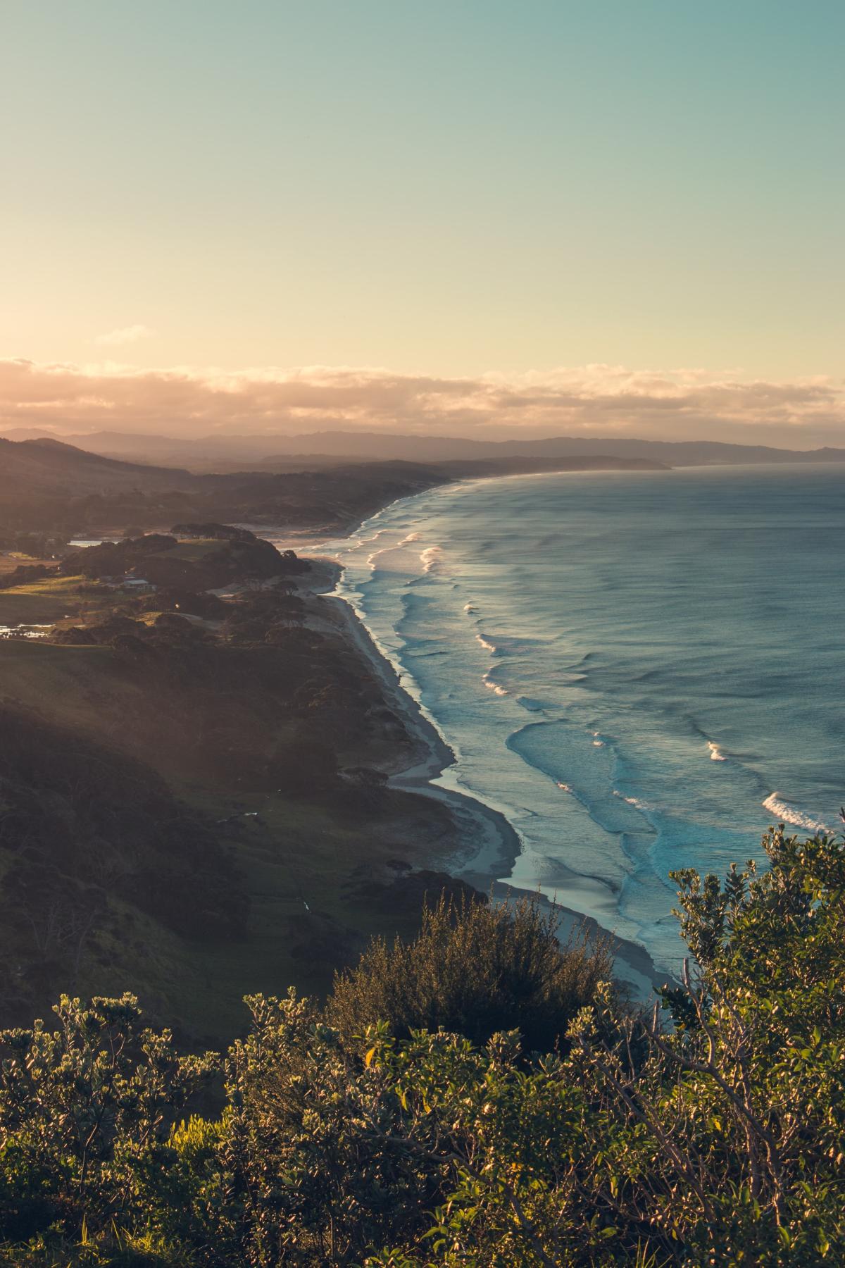 12 Best Things to Do in Leigh NZ Pocket Guide