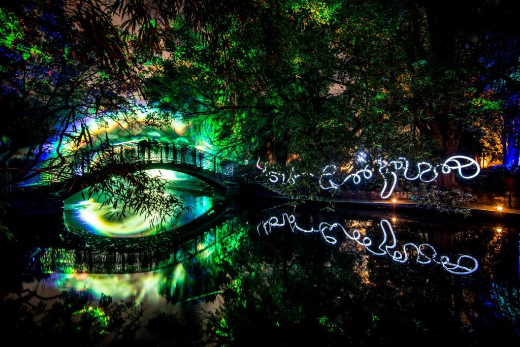 10 Best Winter Festivals & Events in New Zealand ❄️ [2023]