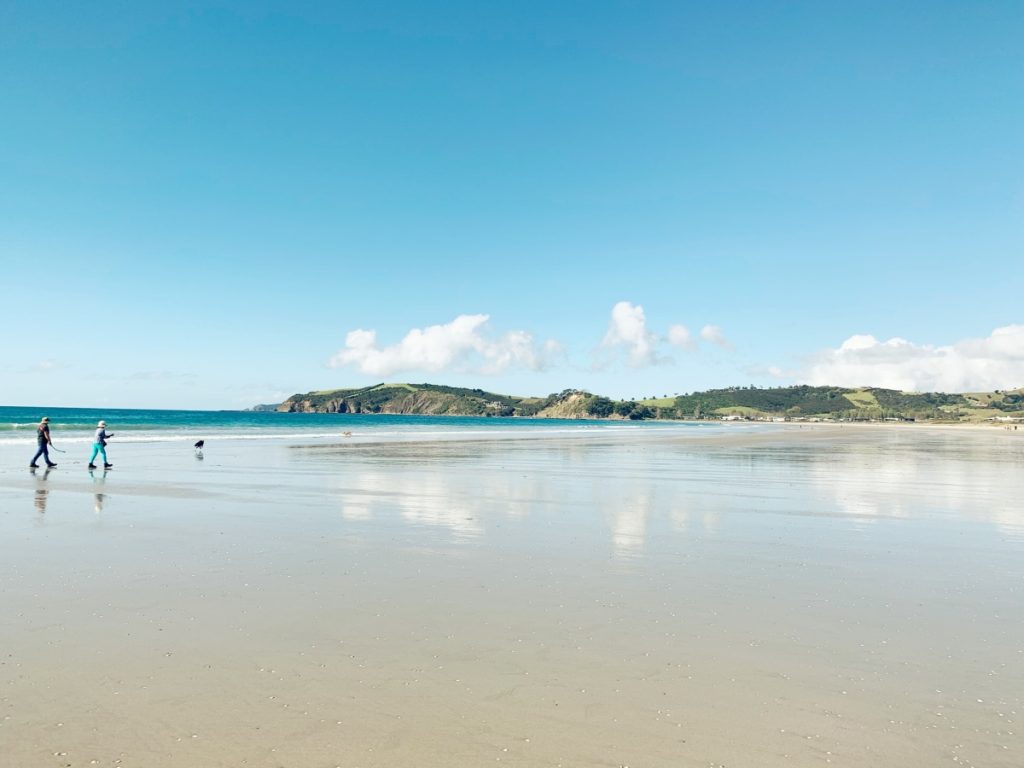 10 Best Things to Do in Matakana & the Matakana Coast ⛱️ [2023]