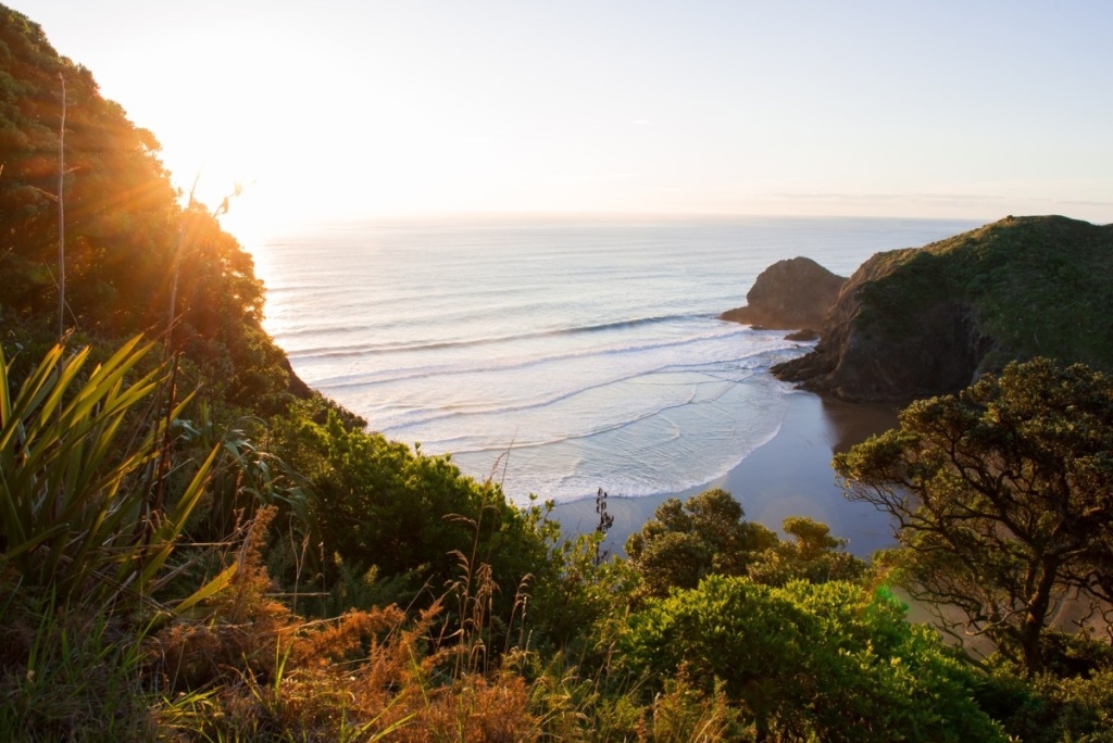 Auckland Suburbs - A Complete Guide