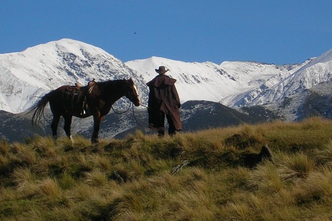 10 Best Horse Riding Tours in New Zealand ???? [2023]