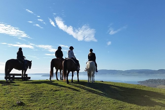 10 Best Horse Riding Tours in New Zealand ???? [2023]