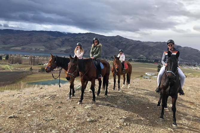 10 Best Horse Riding Tours in New Zealand ???? [2023]