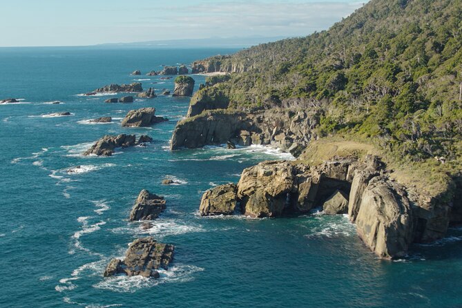 10 Things to Do in Franz Josef on a Rainy Day ☂️ [2023]