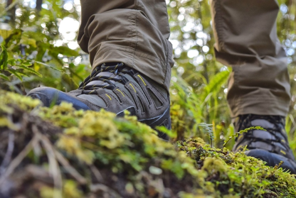 5 Best Things to Do in Hunterville