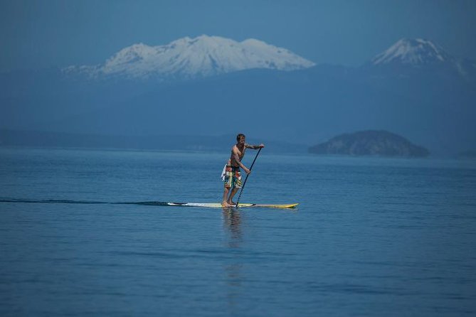 Paddleboarding in New Zealand: 10 Best SUP Tours [2023]