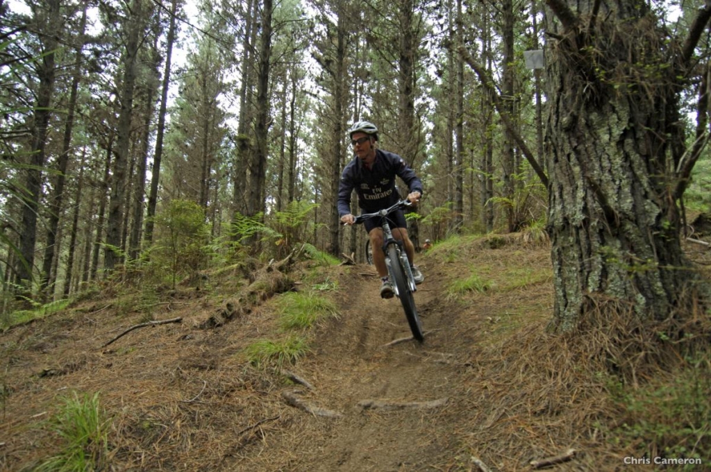 101 Best Things to Do in Auckland ????️ [2023]