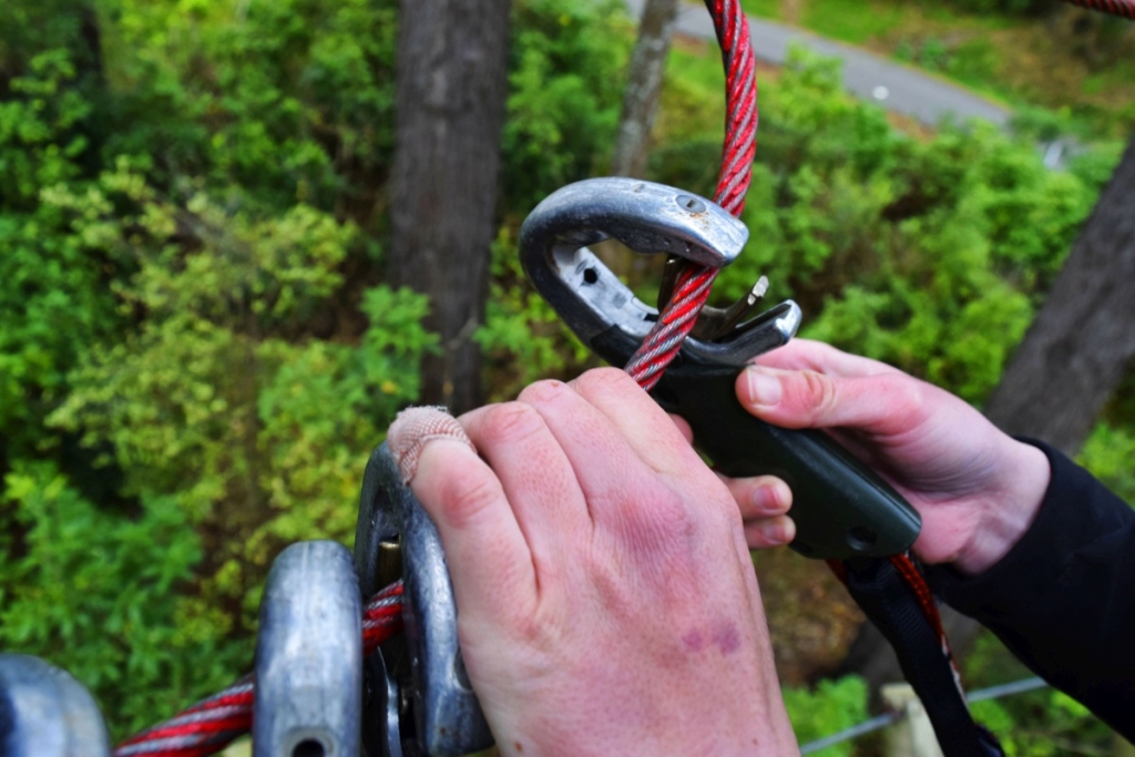 101 Best Things to Do in Auckland ????️ [2023]