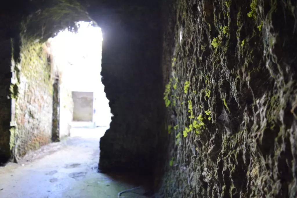 101 Best Things to Do in Auckland ????️ [2023]