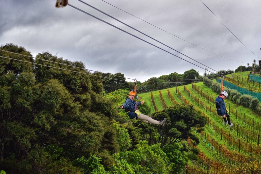 101 Best Things to Do in Auckland ????️ [2023]