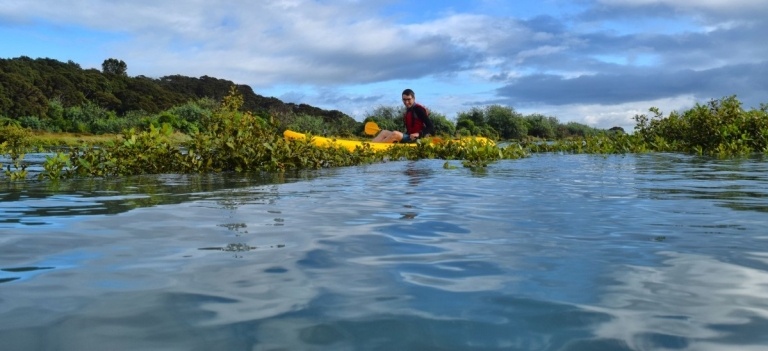 Auckland Kayaking: 10 Best Islands to Kayak to (inc. Tours) ????