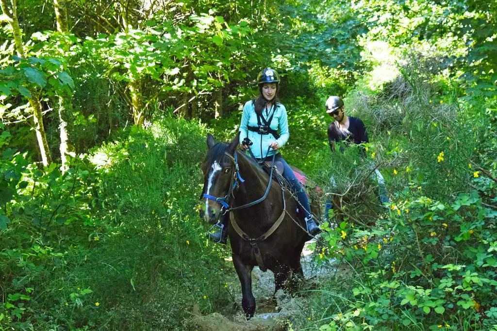 101 Best Things to Do in Auckland ????️ [2023]