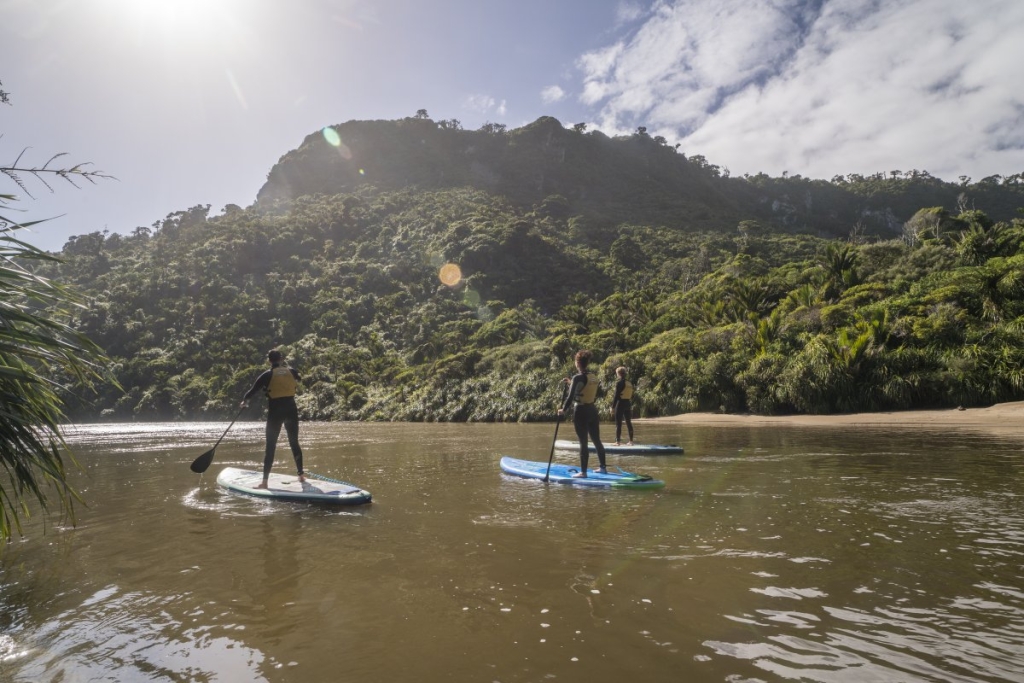 Paddleboarding in New Zealand: 10 Best SUP Tours [2023]