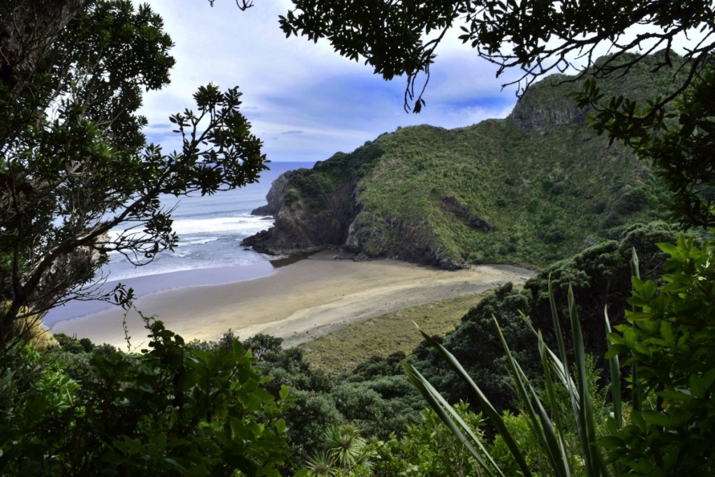 101 Best Things to Do in Auckland ????️ [2023]