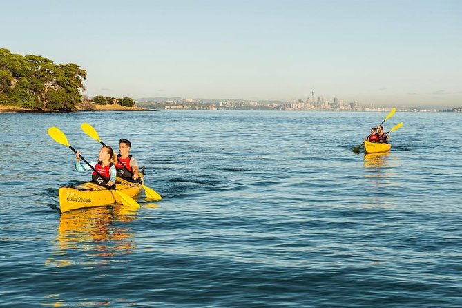 Auckland Kayaking: 10 Best Islands to Kayak to (inc. Tours) 🚣