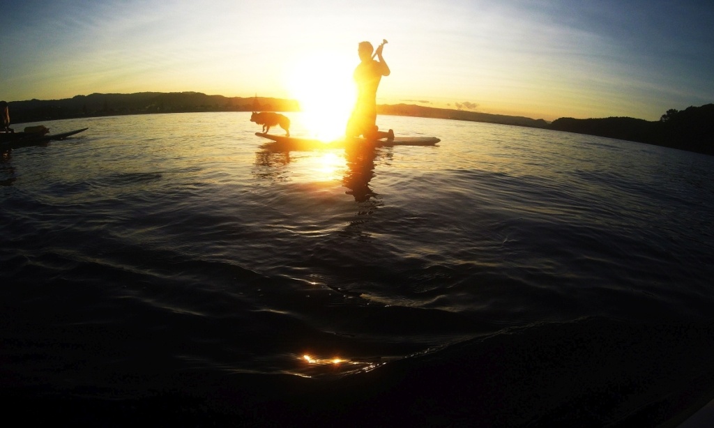 Paddleboarding in New Zealand: 10 Best SUP Tours [2025]