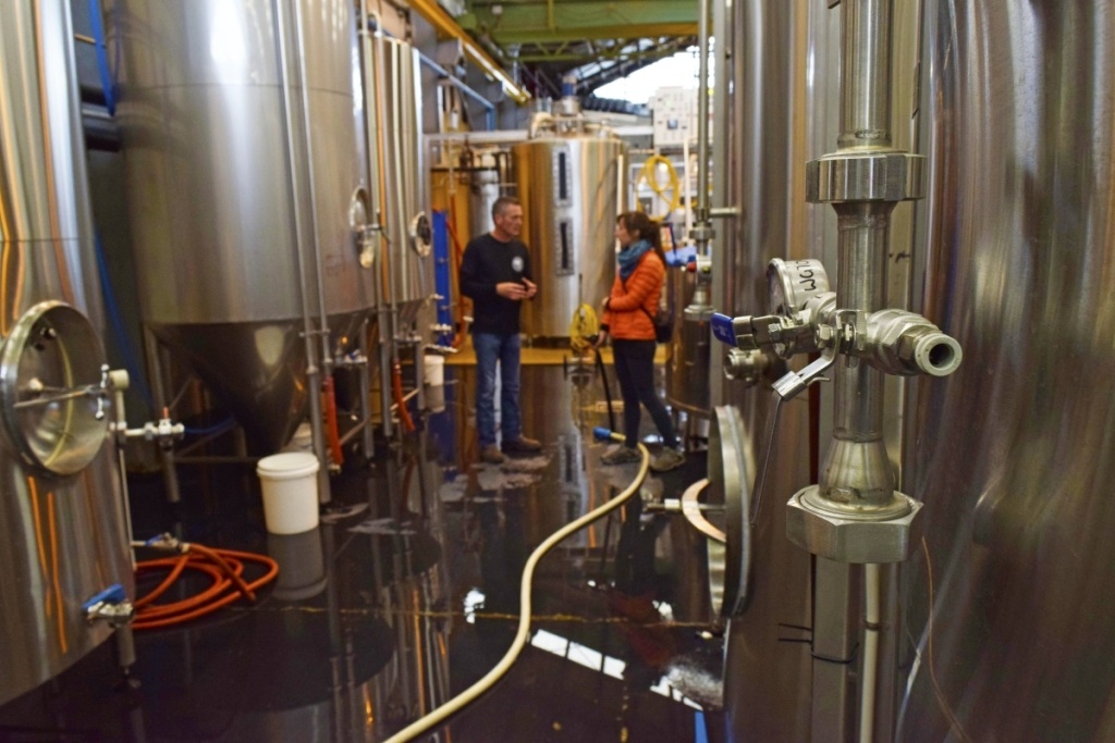 11 Jobs Surprisingly Easy to Get in New Zealand