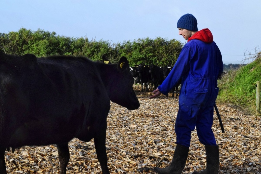 11 Jobs Surprisingly Easy to Get in New Zealand