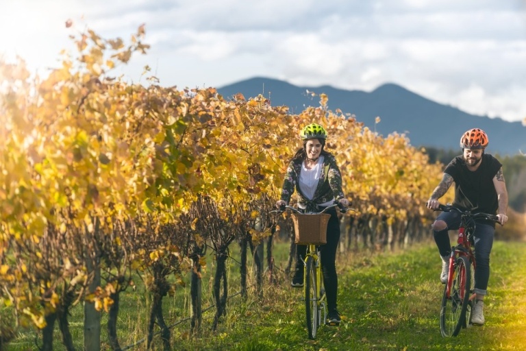 15 Reasons to Travel in the Shoulder and Low Seasons in New Zealand