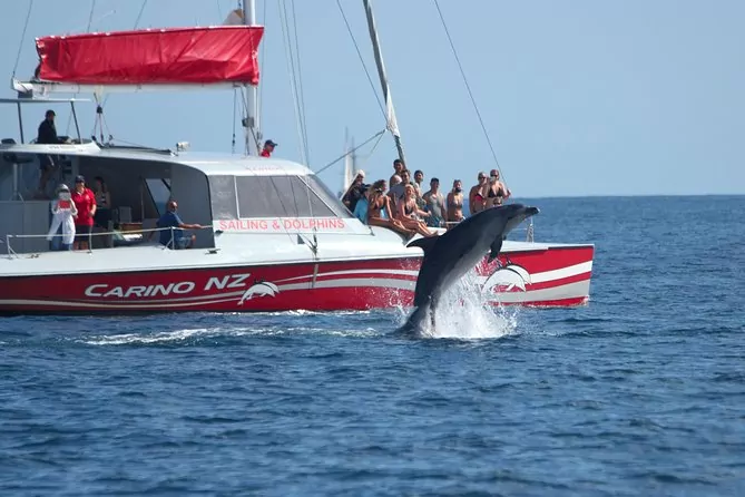 40 BEST Things to Do in the Bay of Islands ⛵ [2025]