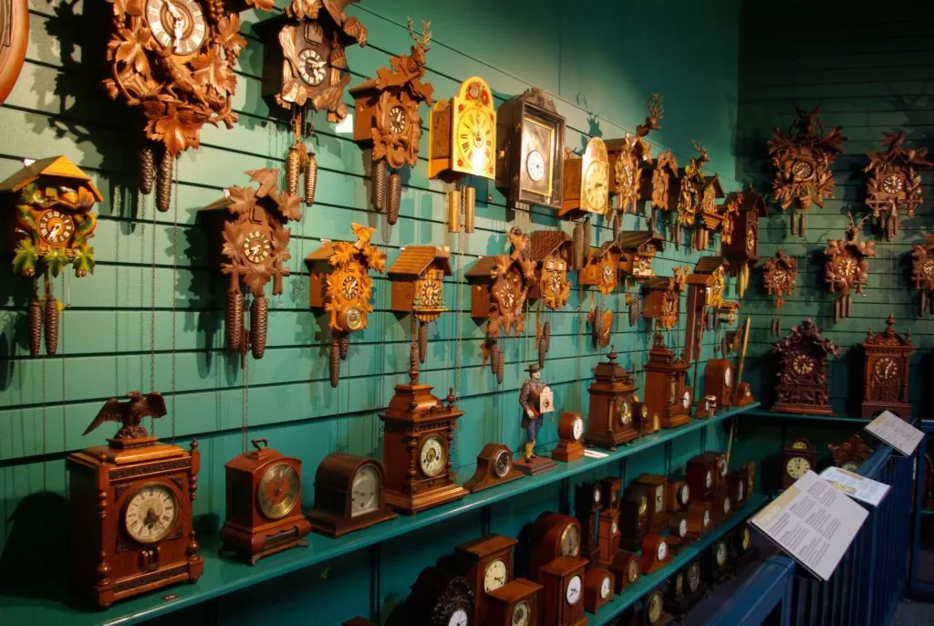 10 Things to Do in Whangarei with Kids