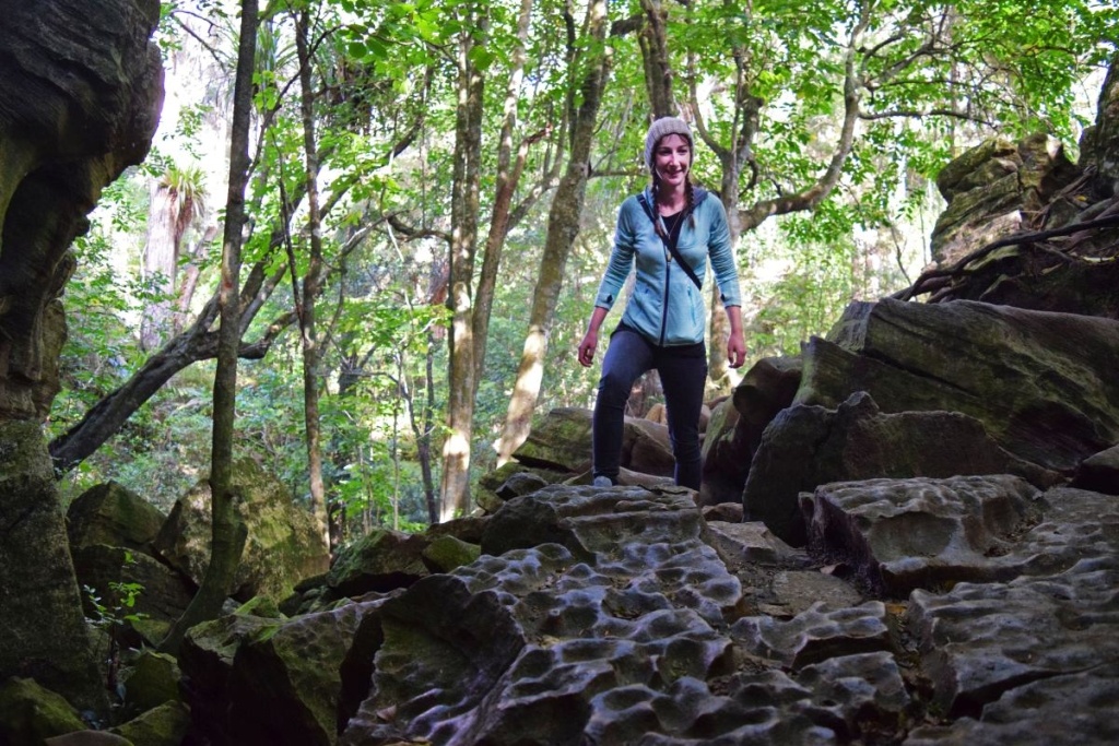 The Budget & Backpacking Guide to Whangarei